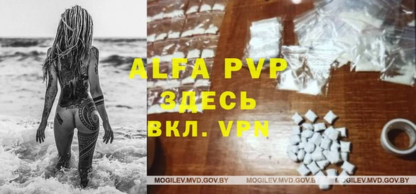 ALPHA PVP Елизово